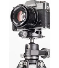 BENRO ROTULA BOLA GX25