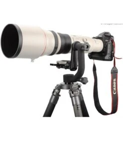 Canon® CANON EF 800 Mm F / 5.6L IS USM PRO PARTNER