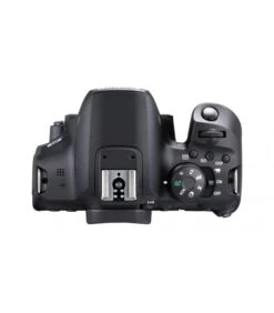 Canon® CANON EOS 850D + EF-S 18-55 MM 4-5.6 IS STM 10 Canon® CANON EOS 850D + EF-S 18-55 MM 4-5.6 IS STM -Duke Fotografia canon eos 850d ef s 18 55 mm 4 56 is stm canon 3