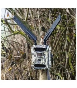 DORR CAMARA DE CAZA SNAPSHOT CLOUD 4G CAMUFLAJE