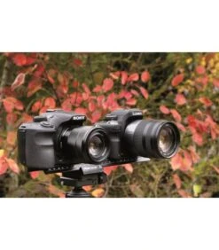 DORR RIEL MS-260 ADJUSTABLE MACRO OF 260MM.