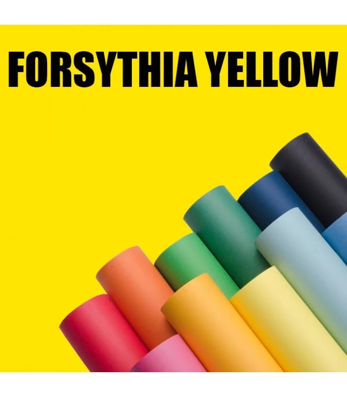 FONDO SUPERIOR 422 2.75X11 FORSYTHIA YELLOW (A-14) 5 FONDO SUPERIOR 422 2.75X11 FORSYTHIA YELLOW (A-14) - Imagen 3