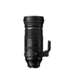 OLYMPUS OM SYSTEM M.ZUIKO ED 150-600/5-6.3 IS -Duke Fotografia olympus om system mzuiko ed 150 600 5 63 is om system 1