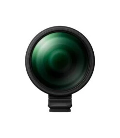 OLYMPUS OM SYSTEM M.ZUIKO ED 150-600/5-6.3 IS -Duke Fotografia olympus om system mzuiko ed 150 600 5 63 is om system 2