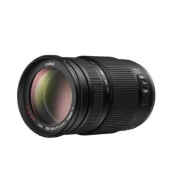 PANASONIC LUMIX 100-300MM F/4.0-5.6 II MEGA