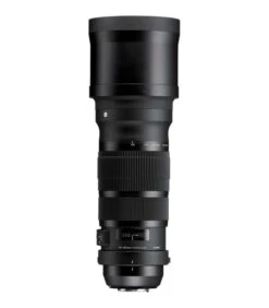 SIGMA OBJETIVO 120-300MM F2.8 DG OS HSM SPORTS PARA CANON 7 SIGMA OBJETIVO 120-300MM F2.8 DG OS HSM SPORTS PARA CANON -Duke Fotografia sigma objetivo 120 300mm f28 dg os hsm sports para canon sigma 2